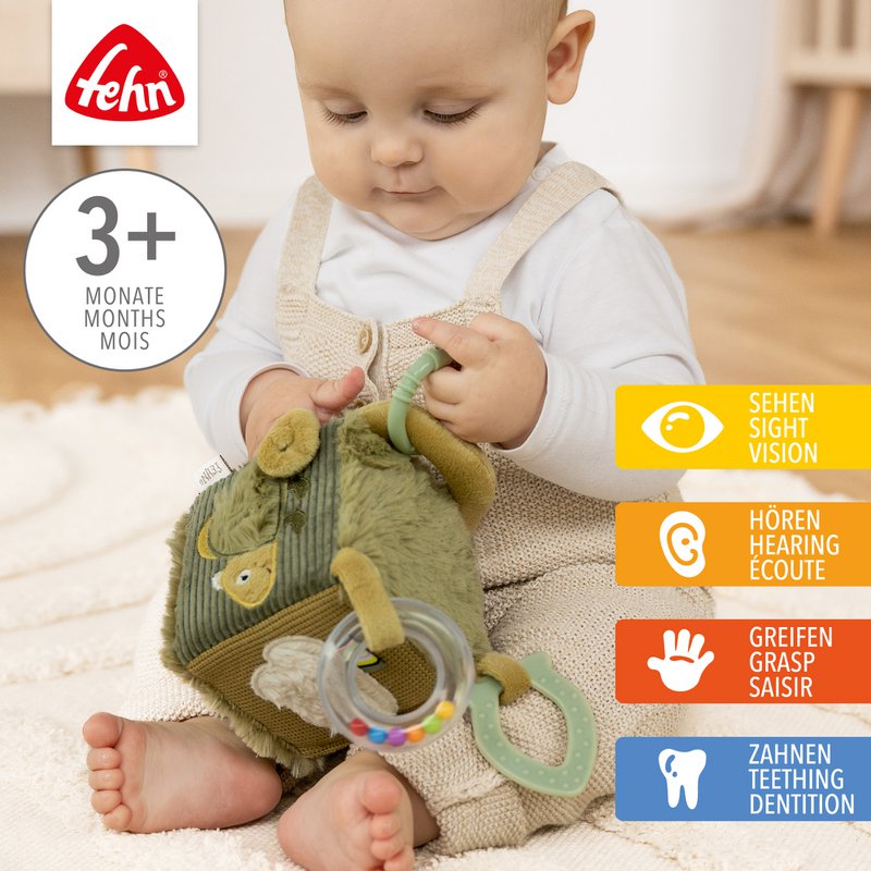 Activity cube chameleon