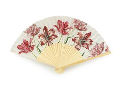 Fan, Merian, Three Tulips