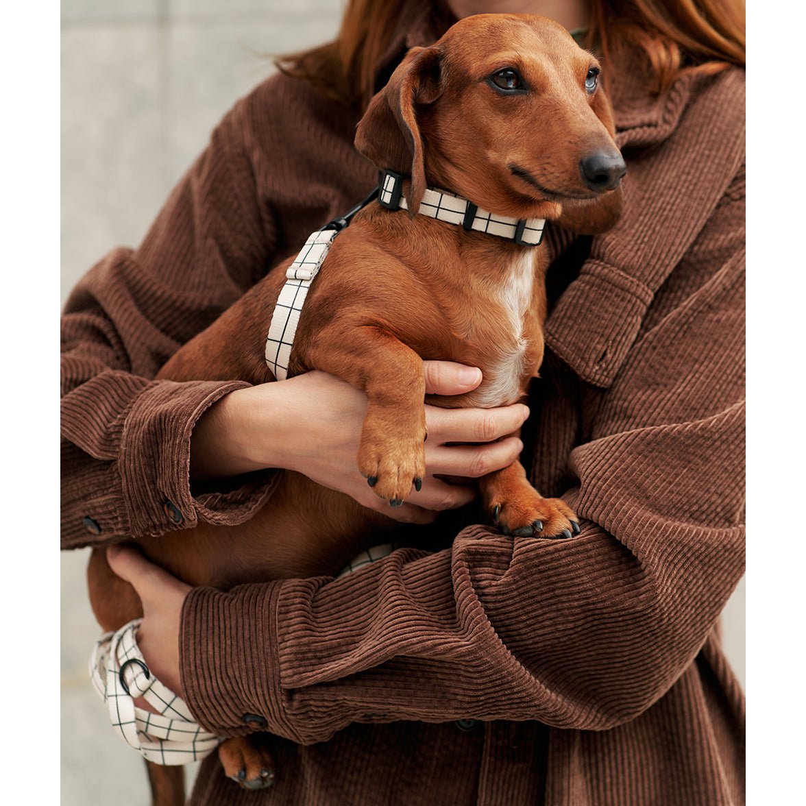 Recycled PET Necklace Beige Line Design, Juno