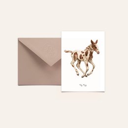 Postcard featuring a painting of a foal, a young horse. The image shows a brown and white spotted foal running or galloping. The postcard is suitable for sending to friends or family who appreciate nature and animal artwork.