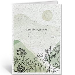 The Card Company