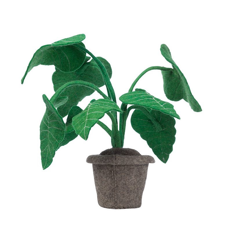 Alocasia plant, felt decoration plant.