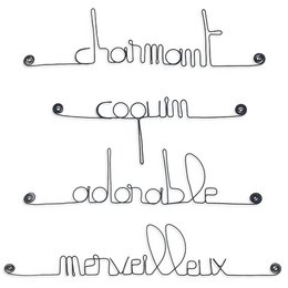 Lot de petits messages en fil de fer - GARÇONNET : Adorable, Charmant, Coquin, Merveilleux