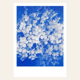 RISOGRAFIA POSTRACCARD - HYRGANGEA - Din A6