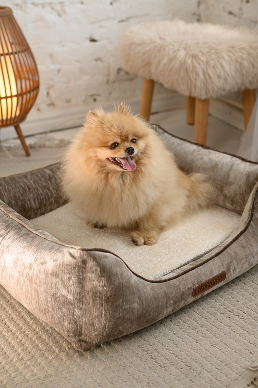 PHOEBE Chenille Hundeseng med hævede sider