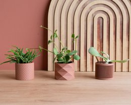 Natural Wood