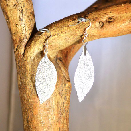 Ohrring Eukalyptusblatt Silber