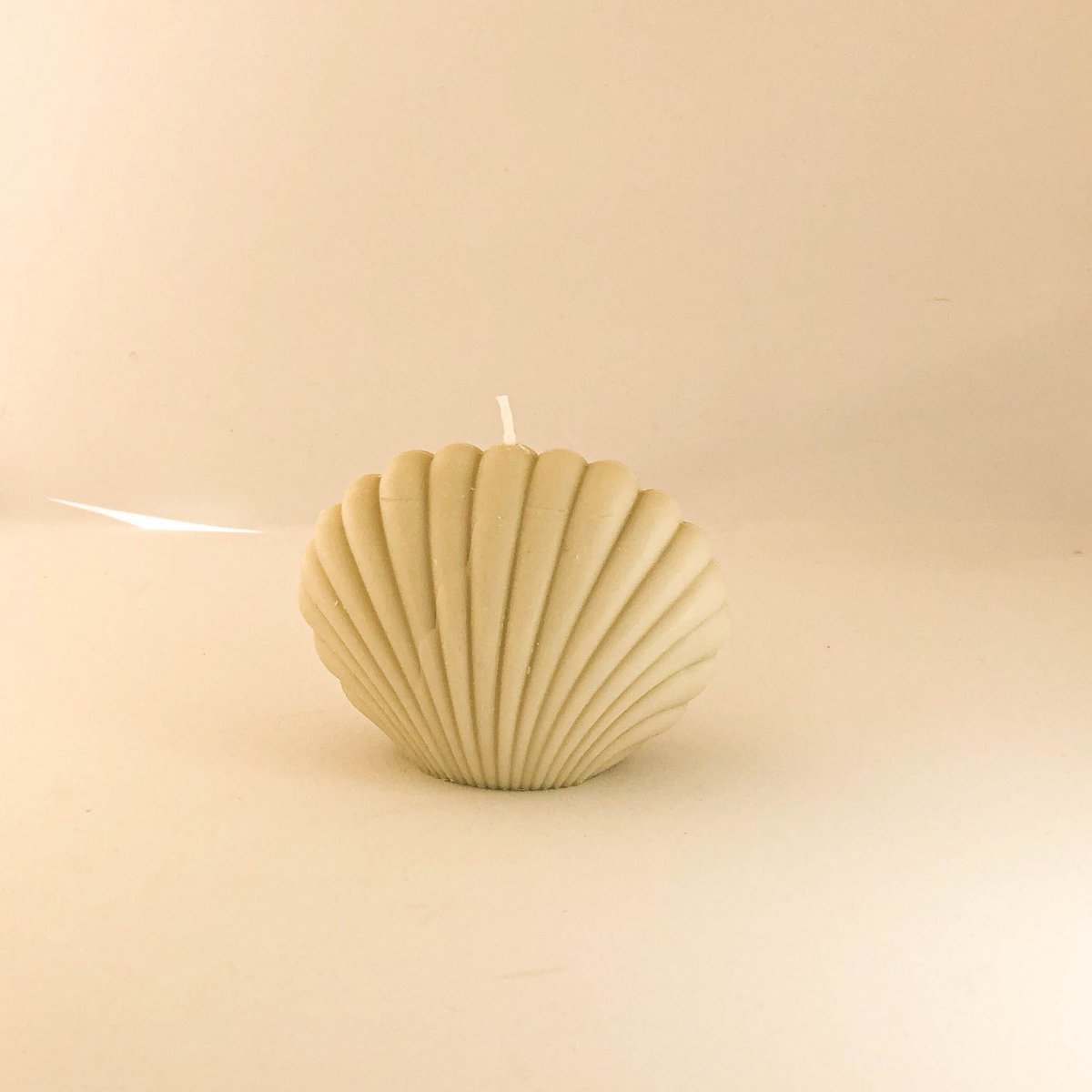 Muschelkerze