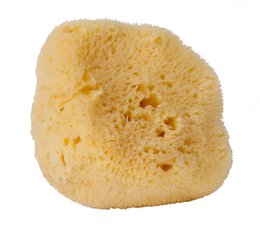 Facial natural sponge in gift box, medium