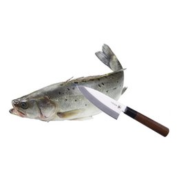 Scatola di Coltelli da Cucina Giapponesi da Taglio in Acciaio Inossidabile