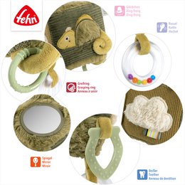 Activity cube chameleon