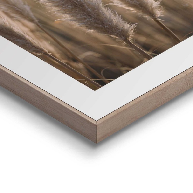 Painting set Slim Frame Blades of Grass 50x40