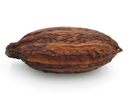 Kakaobohnen – 100 % natürlich und getrocknet