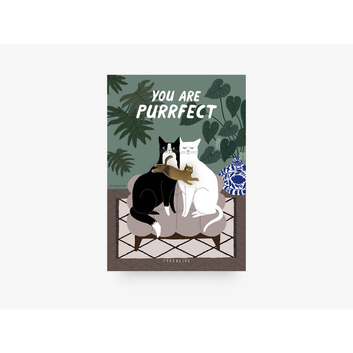 Pin / You Are Purrfect