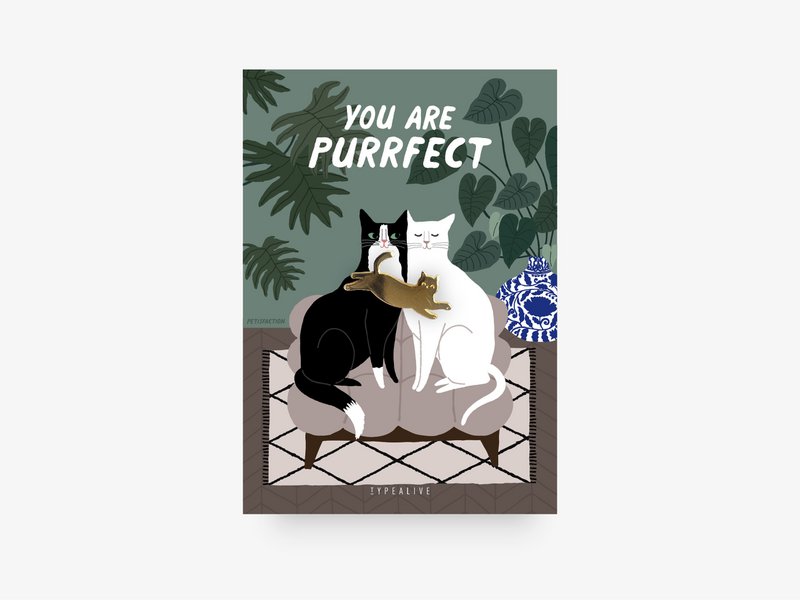 Pin / You Are Purrfect