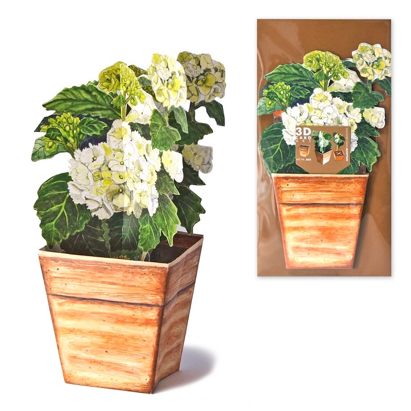 Carte d'hortensia florale 3D
