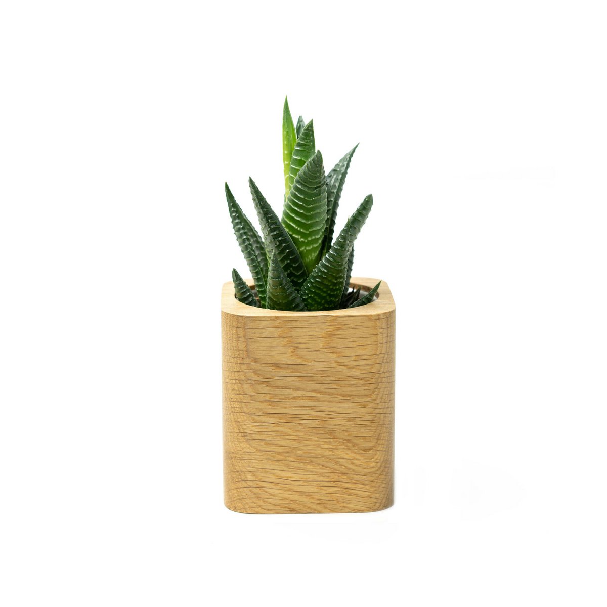 Jardinière carrée