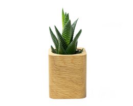 Square Planter