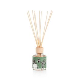 Bastoncini profumati Mikado Diffusore | Profumo di rosmarino, pino ed eucalipto | Paseo Silvestre | 100 ml/3,38 once fluide