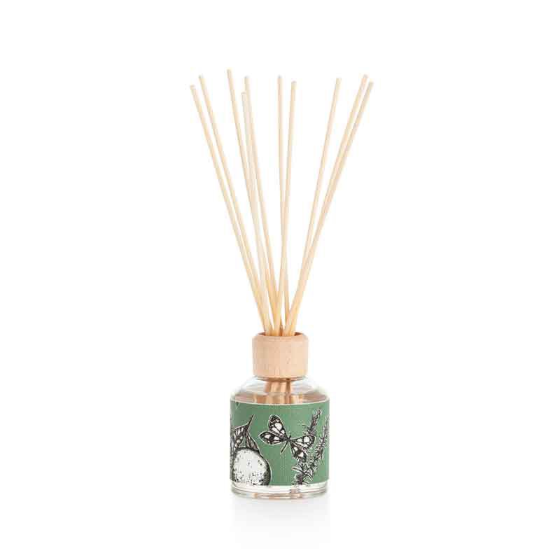 Bastoncini profumati Mikado Diffusore | Profumo di rosmarino, pino ed eucalipto | Paseo Silvestre | 100 ml/3,38 once fluide