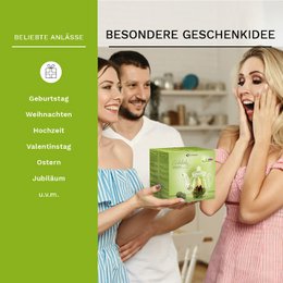 Creano blossom te gavesæt med glaskande, 6 varianter