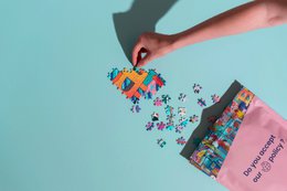 Puzzle Internet