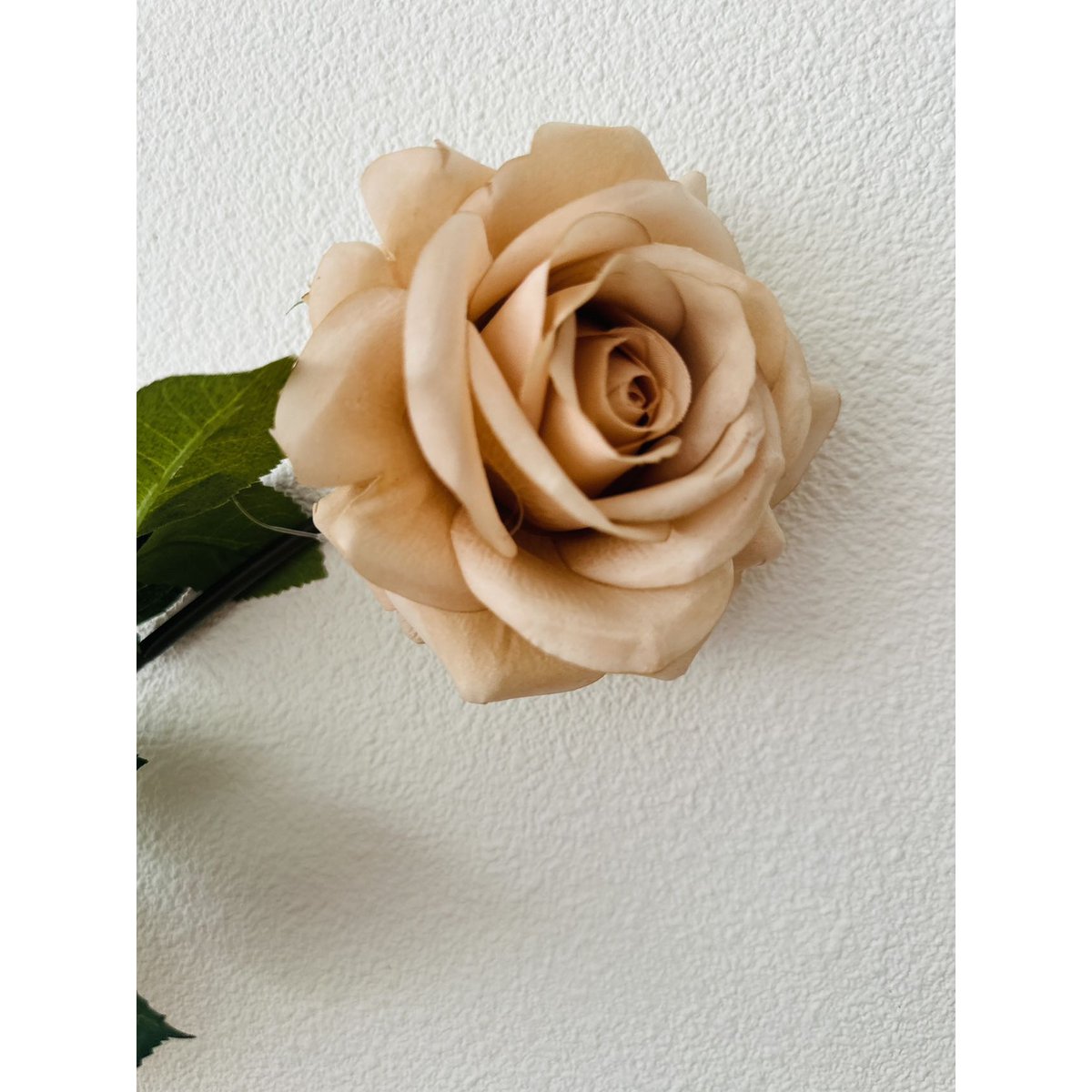 QMF Hand Touch Rose72cm Champagne 2STK