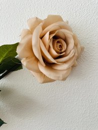 QMF Hand Touch Rose72cm Champagne 2PZ