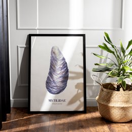 Mussel poster featuring a detailed illustration of a mussel shell in shades of purple and gray. The poster has a minimalist, modern design style.