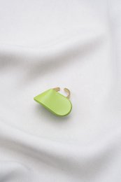 anillo de hericon