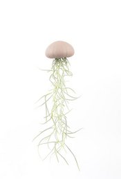 A hanging air plant in a pink sea urchin-shaped container. The plant has a round, light-colored body with long, green tentacle-like roots extending downwards.