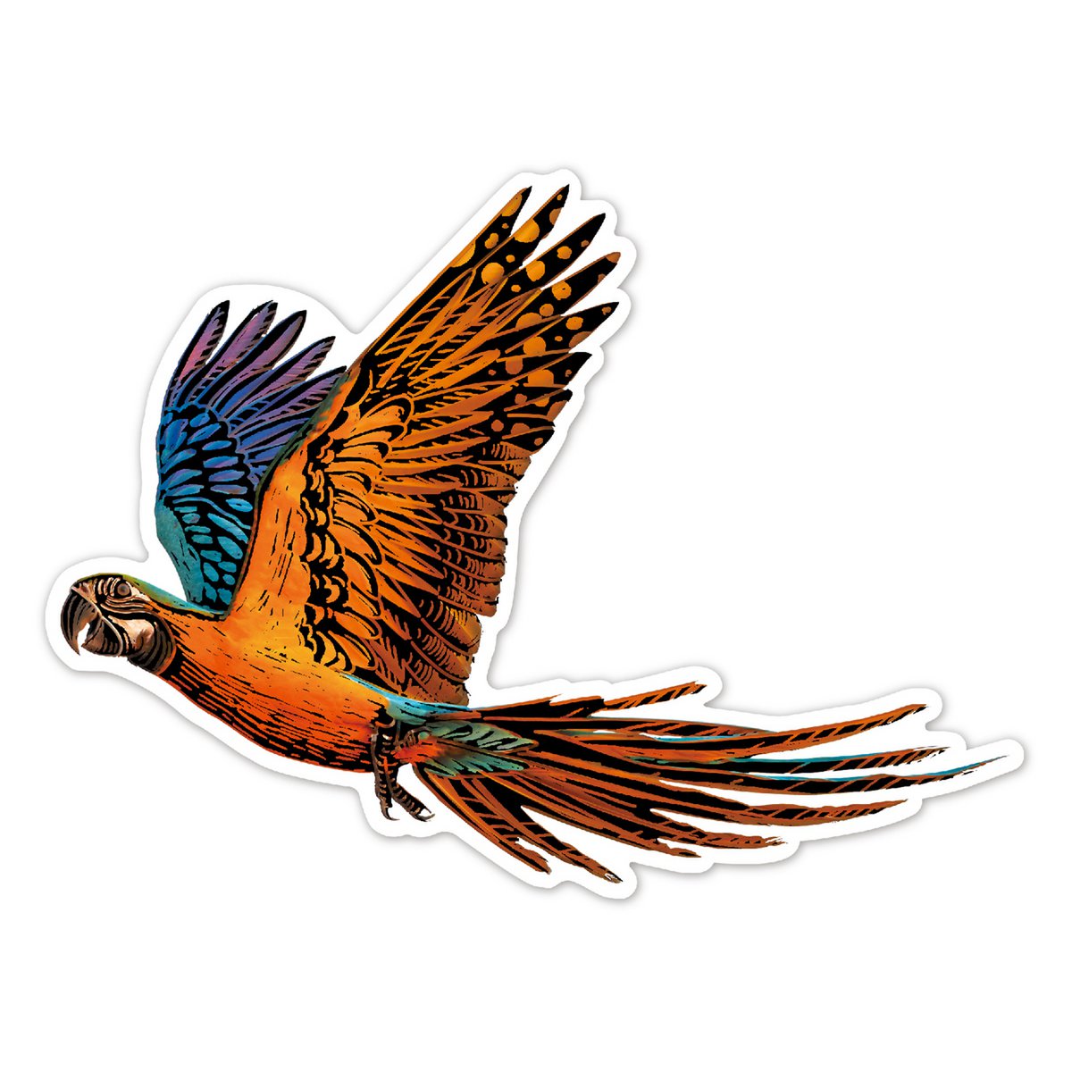 Scratch Stickers - Vogels