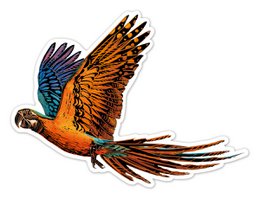 Scratch Stickers - Vogels