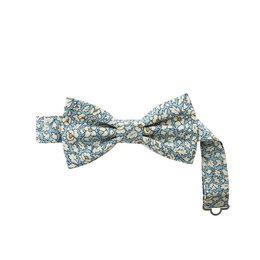 Papillon cielo de verano