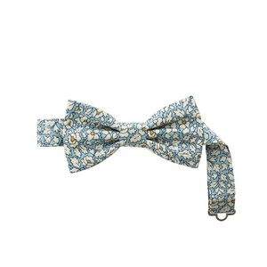 Papillon Zomerhemel