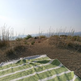 Hammam towel organic cotton Dalya olive green