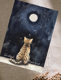 Postcard featuring a cat gazing up at the starry night sky. The image depicts a tabby cat sitting and looking up at a crescent moon and stars against a dark, night sky background.