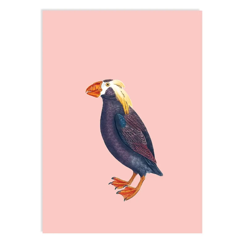 Puffin pocztówki