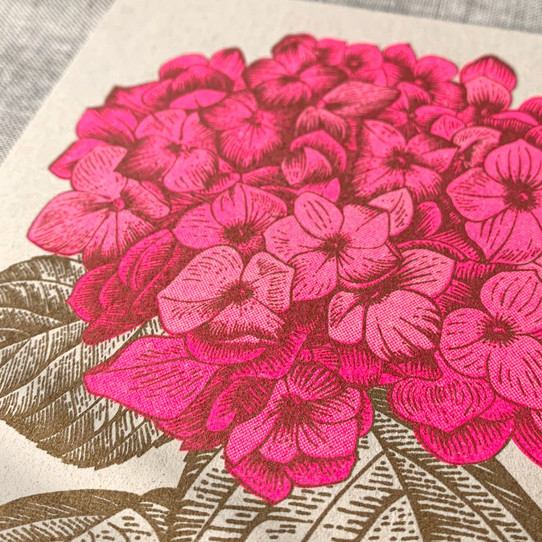 Postal / hortensia / papel ecológico