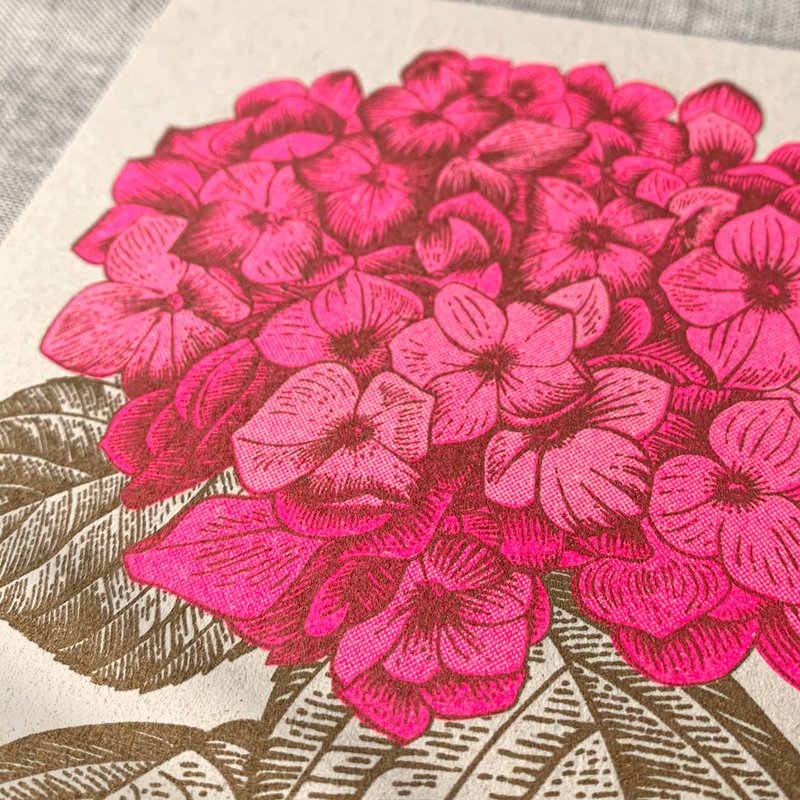 Postkarte / Hortensie / Ökopapier