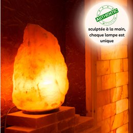 Lampe aus Himalaya-Salzkristall – 4 bis 6 kg – handgeschnitzt – Geschenkidee – Dekorationsobjekt