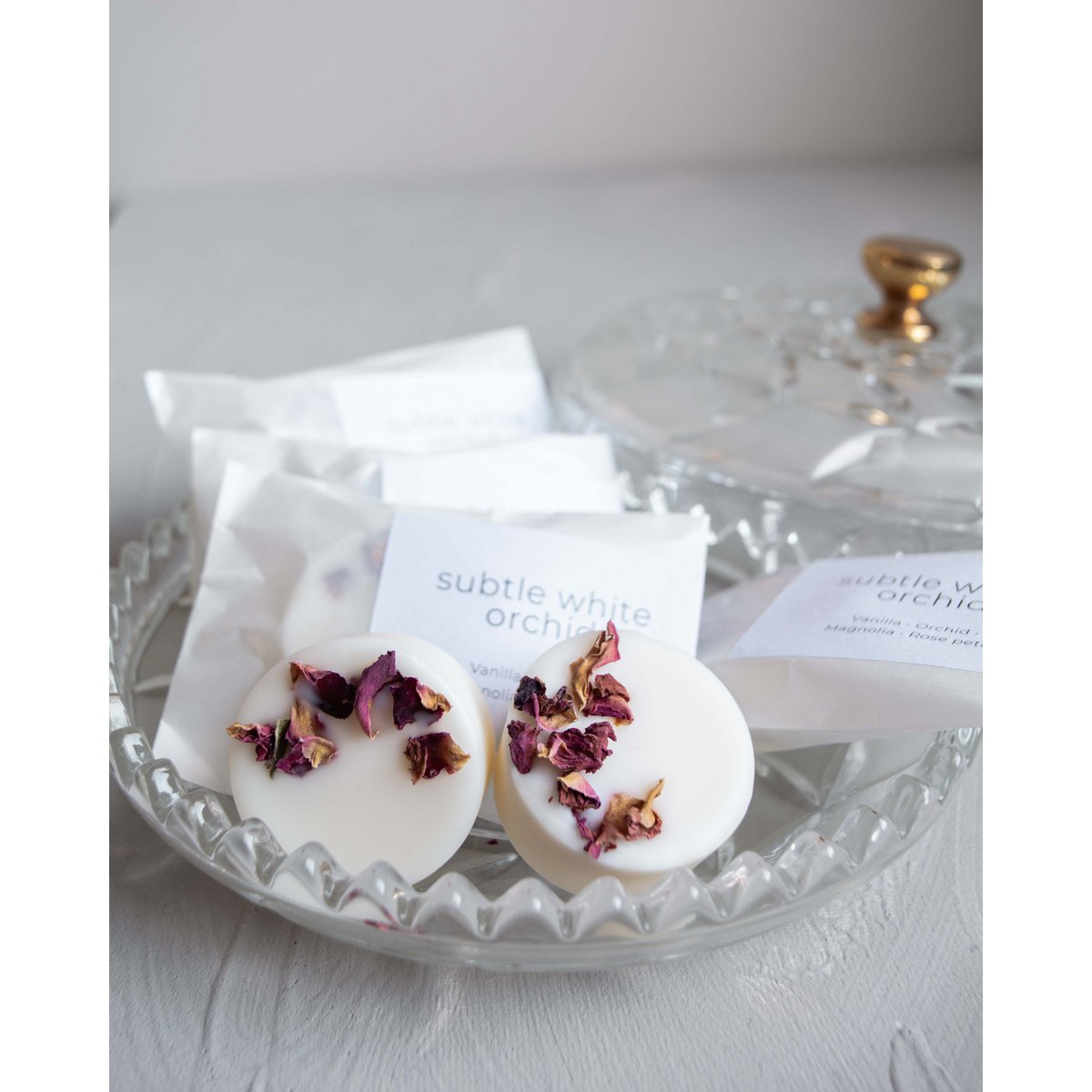 Subtle white orchid