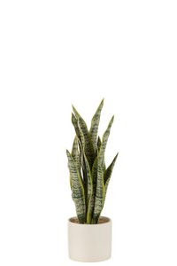 J-Line plants Sansevieria in pot - plastic - green - medium