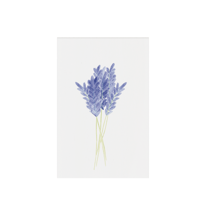 Lavanda, etiqueta de regalo