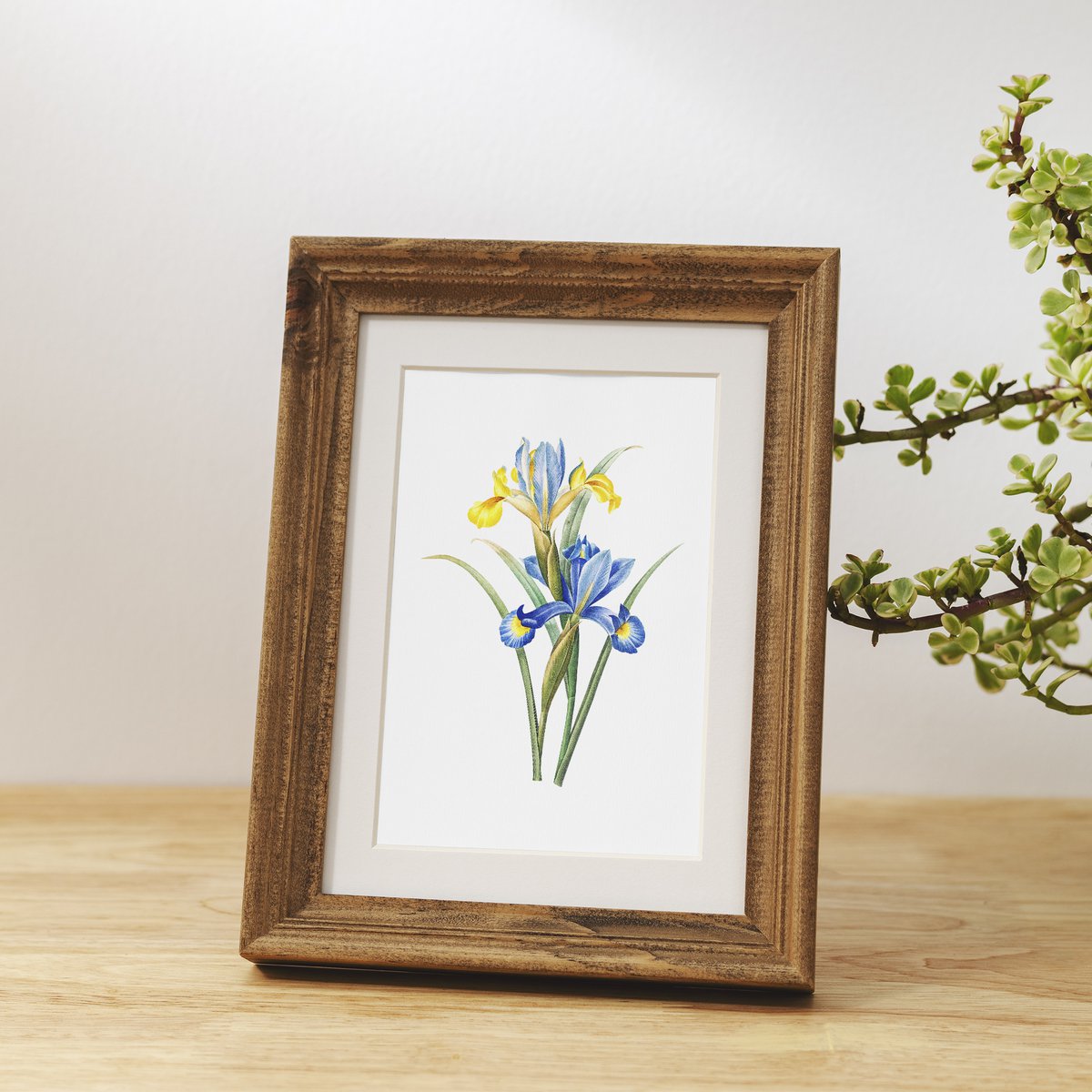 Botanische kunst print mix x16 | Vintage bloem illustratie | Kunst aan de muur