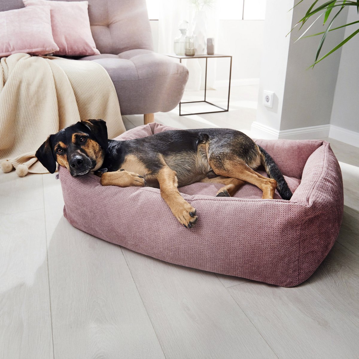 TUDOR CLASSIC HUNDEBETT