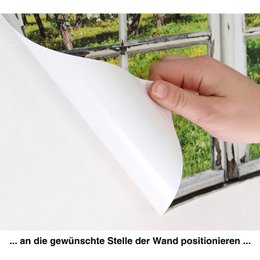 3D wall sticker - Bridge in the Forest