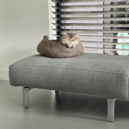 Basket light gray