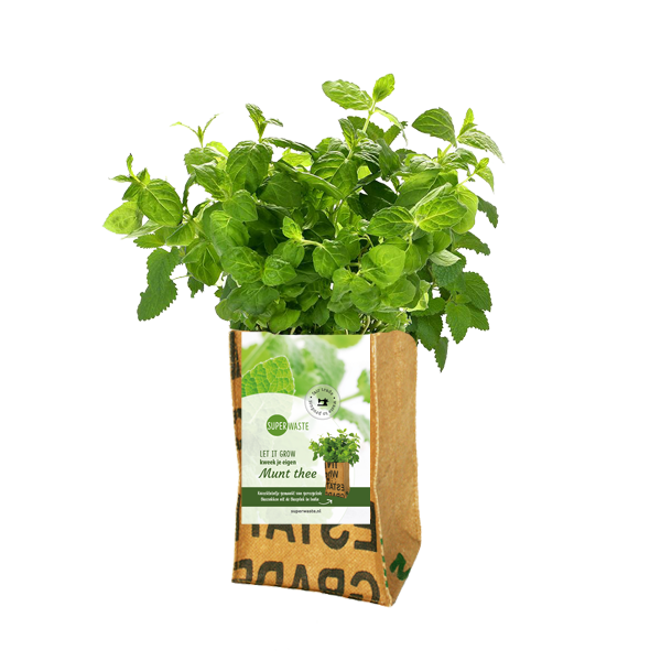Let It Grow Grow Garden - Mint
