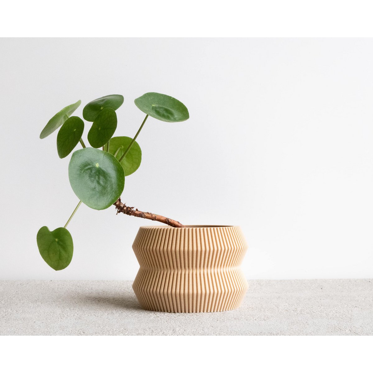 ITO Indoor Planter